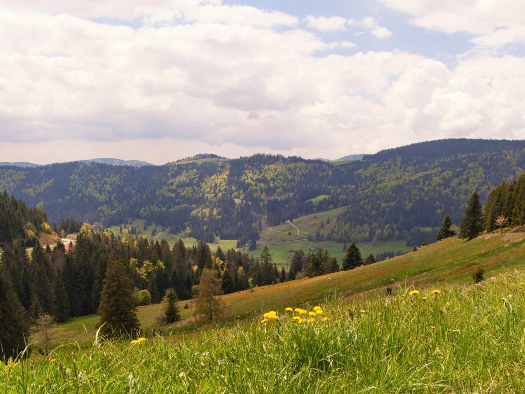 Relaxapartments Black Forest Moments - Maisonette-Wohnung Mit Sonnenbalkon, Schnelles Internet, Naehe Triberger Wasserfaelle, Fuer Bis Zu 4 Personen Schönwalde Eksteriør billede